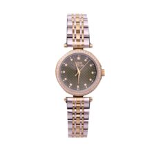 ساعت زنانه Louis Nuller LNR100